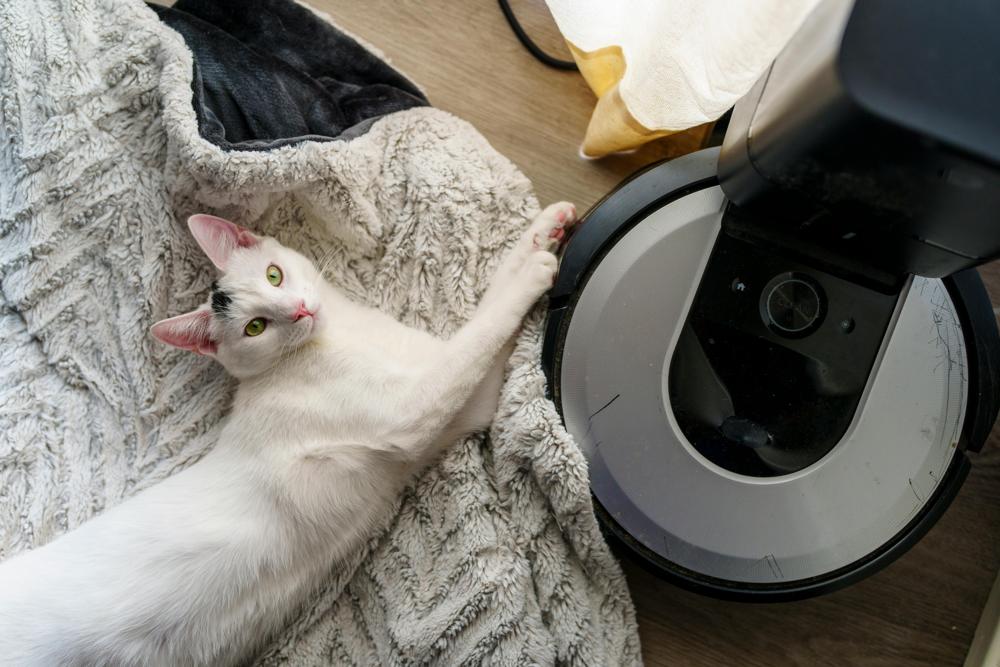 Robotic vacuum