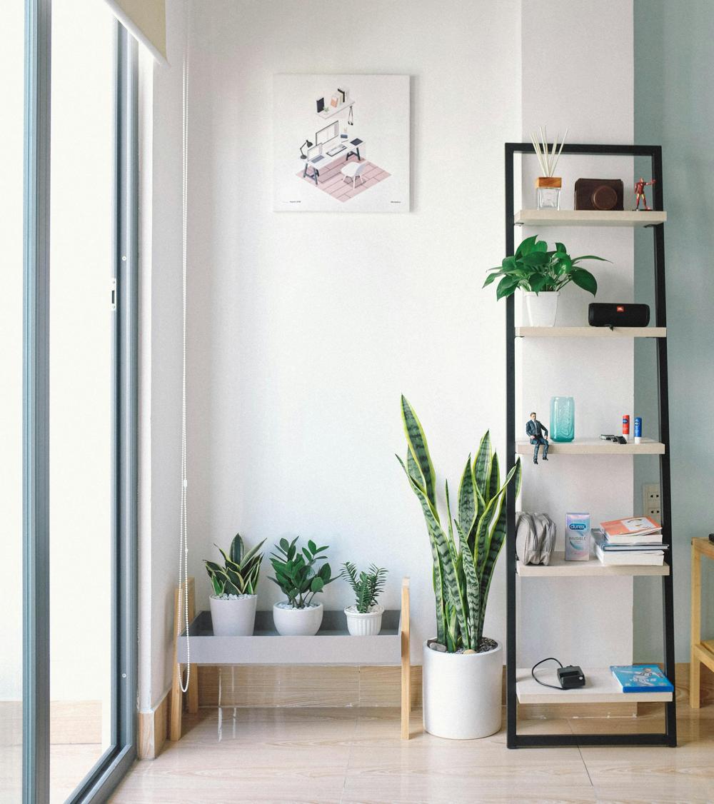 clean living room