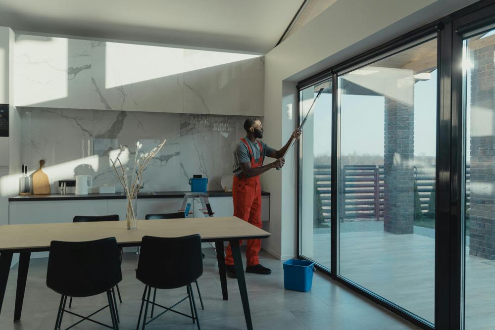 cleaning professional