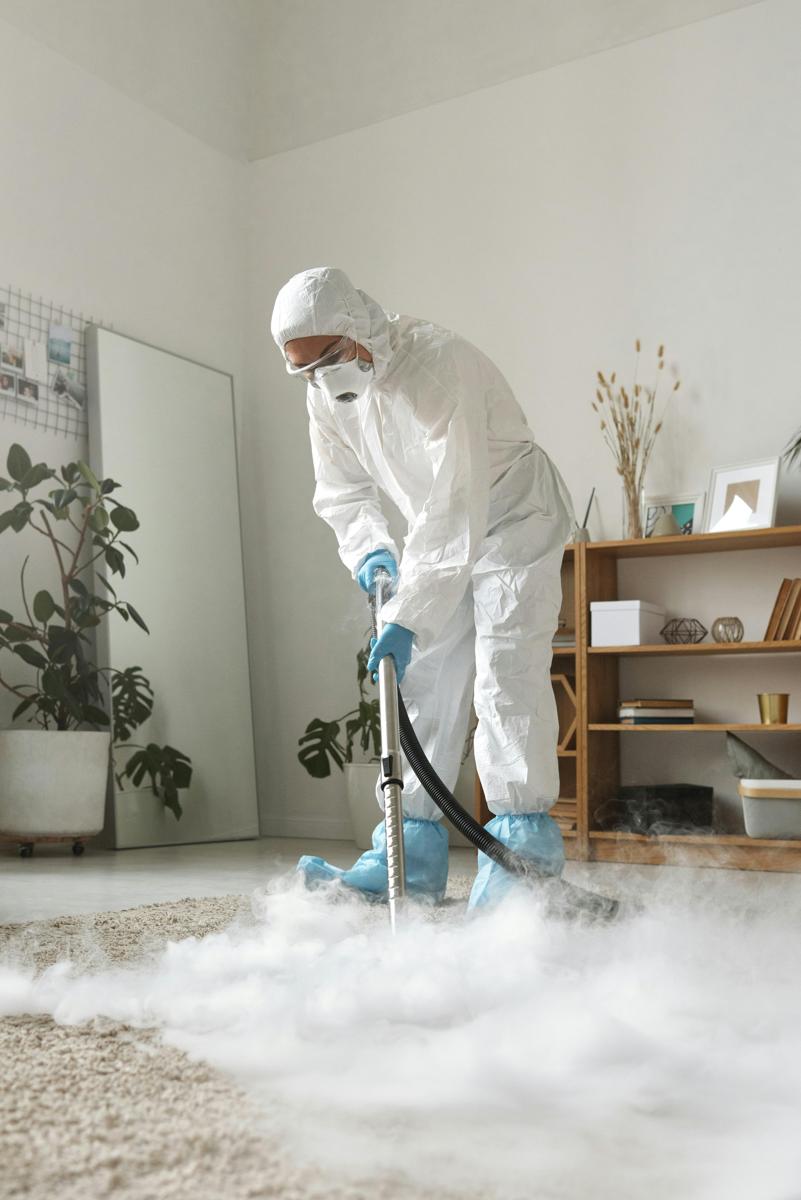 house cleaning