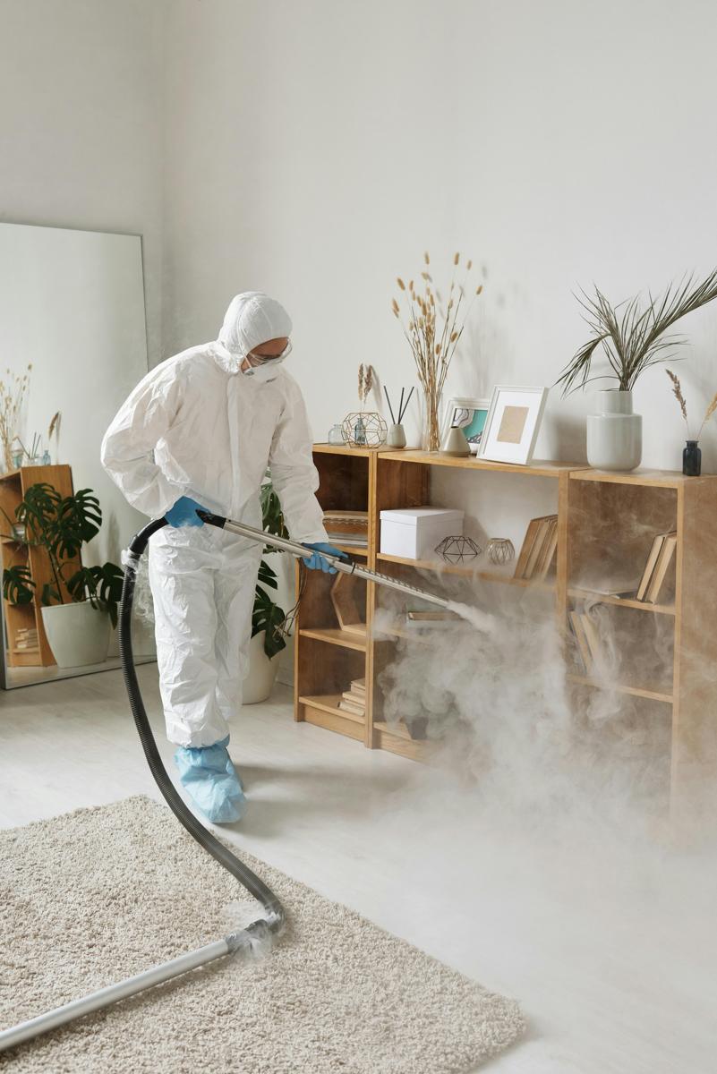 house cleaning