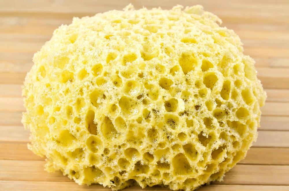magic sponge